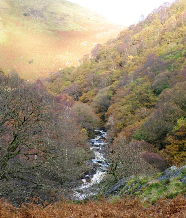 The scenery near Allt Rhyd y Groes NNR